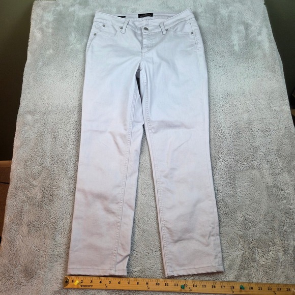 Talbots Pants - Talbots Cotton Blend Slim Ankle Pants Womens Sz 8 Flawless Five-Pocket Gray Blue